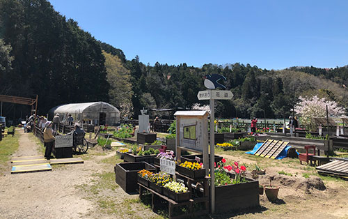 デイサービスセンター